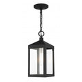 Black with Brushed Nickel Cluster Outdoo