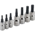 Sockets, 7-pc Torx Bit Sockets, Torx 3/8" Drive