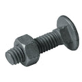 Carriage Bolt w/Nut,5/16""X4-1/2