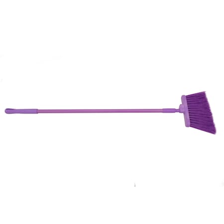 Broom, 56, Unflagged, Purple
