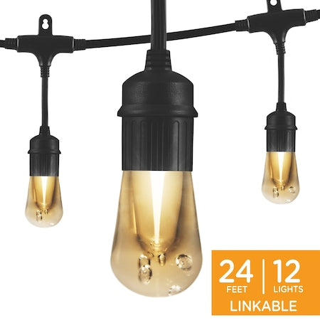 Cafe Lights, 24 ft., 12 Bulb