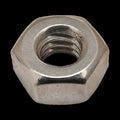 Hex Nut, 1/4"-20, Stainless Steel, Plain