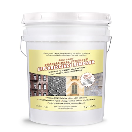 Smart n Easy Efflorescence Remover, 5 Gallon