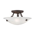 Oasis 3 Light Bronze Ceiling Mount