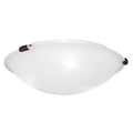 Oasis 3 Light Bronze Ceiling Mount