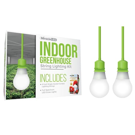 Absolute Daylight Single-Socket Cor, PK2