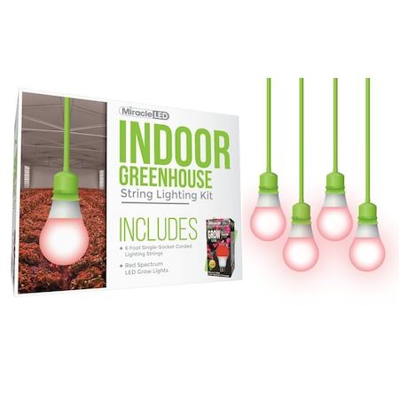 Absolute Daylight Single-Socket Cor, PK4