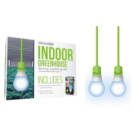 Absolute Daylight Single-Socket Cor, PK2
