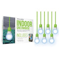 Absolute Daylight Single-Socket Cor, PK6