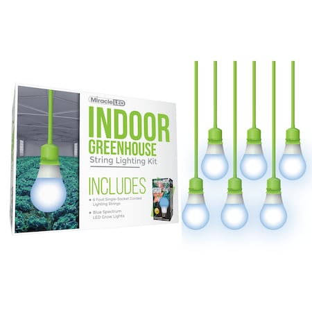 Absolute Daylight Single-Socket Cor, PK6