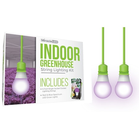Daylight Single-Socket Corded LED G, PK2