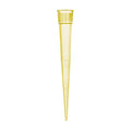 BRAND Ultra Micro Pipet Tips, Natural, TipBox, Non-sterile, 0.5,PK480