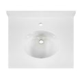 Vanity Top w/Ceramic Basin,25x 22 in