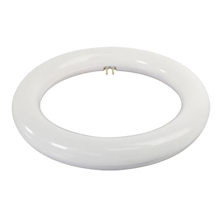 Light Bulb,LED,8in,T9,Circular,PK12