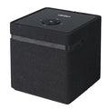 Bluetooth/Wi-Fi Wireless Smart Speaker