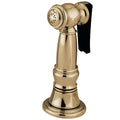 KBSPR32 Kitchen Faucet Sprayer with Hose