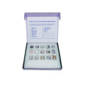 Metamorphic Rock Set, 15 Specimens
