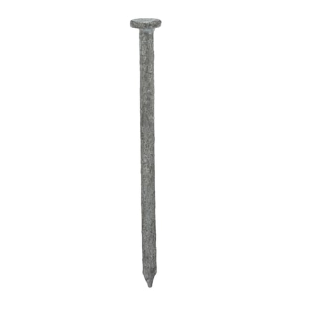 Common Nail, 2-1/2 in L, 8D, Steel, Galvanized Finish, 10.25 ga, 2730 PK
