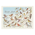 10" x 14" Favorite Birds Paper Placemats, PK1000