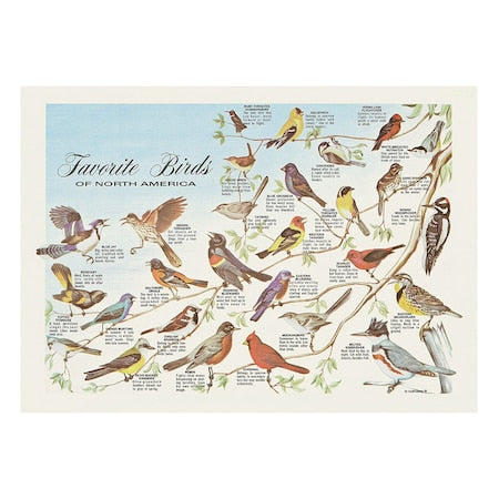 10" x 14" Favorite Birds Paper Placemats, PK1000