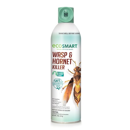 Wasp and Hornet Killer 9 oz., PK2