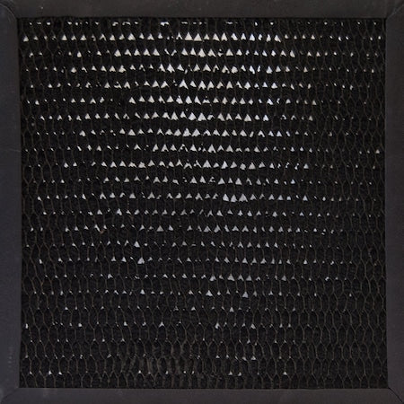AP2500D Air Purification System Optional Activated Carbon Filter Filter