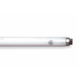 Fluorescent Linear Lamp, T8, Cool, 4100K