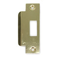 Strike Plate, H 4 7/8 x L 1 1/4 In