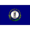 Kentucky State Flag, 3x5 Ft