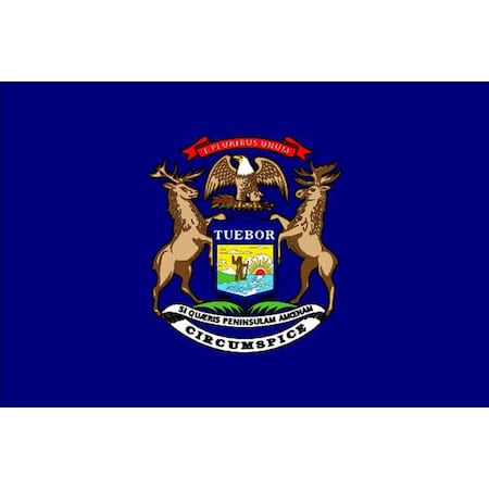Michigan State Flag, 3x5 Ft