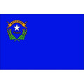 Nevada State Flag, 3x5 Ft