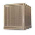 Ducted Evaporative Cooler, 5,500 cfm, 1,600 sq ft, 12.2 gal, 1/2 hp, Belt, 120V AC