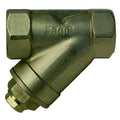 Y Strainer, 1/4" Pipe, FNPT x FNPT, 316 Stainless Steel, 800 psi