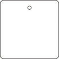 Tag, Blank, Plastic, 2 in H x 2 in W, White, Square, 10 PK