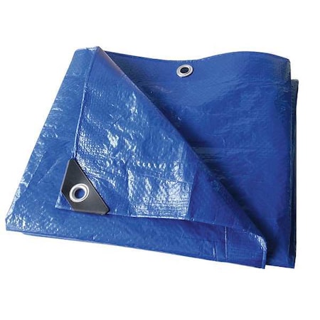 Standard Duty Tarp, 19 ft 10 in x 29 ft 4 in, 3.2 Mil, Blue, Polyethylene