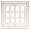 Plate, 12 Ports, White, Flush