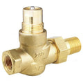 Hydronic Globe Valve, Two-Way, 1/2 in