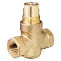 Hydronic Globe Valve, Two-Way, 1/2 in