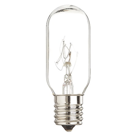 Microwave Light Bulb