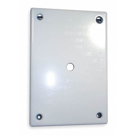 Security Wall Plate, White