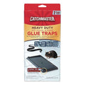 Heavy Duty Rat, Mouse & Snake Glue Trap, 5-1/4 in W x 1/4 in H, Non-Toxic, PK 2