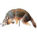 Coyote Decoy, 16 in H, Brown/White