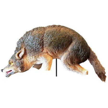 Coyote Decoy, 16 in H, Brown/White