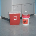Sharps Container, 12 Gal., Hinged Lid, PK2