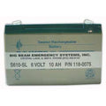 Battery, Lead Calcium, 6V, 10Ah, Faston