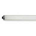 Fluorescent Lamp, T12, Daylight, 6500K