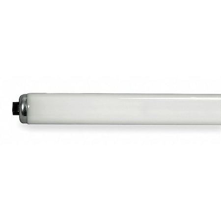 Fluorescent Lamp, T12, Daylight, 6500K
