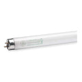 Fluorescent Linear Lamp, T8, Warm, 3000K