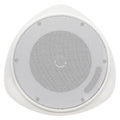 Speaker, Pendant, White, 5 In, 10 W