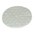 High Filtration Discs for Dome Filter, Fits Canisters, TailVac 2/PK